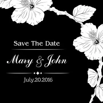 Congratulation or invitation card template with hibiscus flowers. Vector Stock Illustration