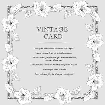 Congratulation or invitation card template with hibiscus flowers. Vector Stock Illustration