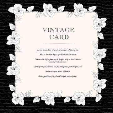 Congratulation or invitation card template with hibiscus flowers. Vector Stock Illustration