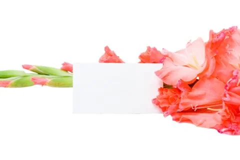 Congratulation Stock Photos