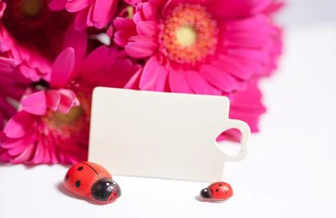 Congratulation Stock Photos