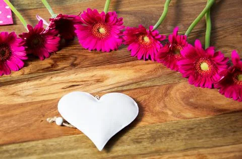 Congratulation Stock Photos