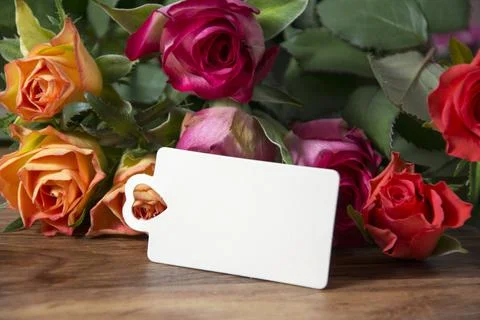 Congratulation Stock Photos