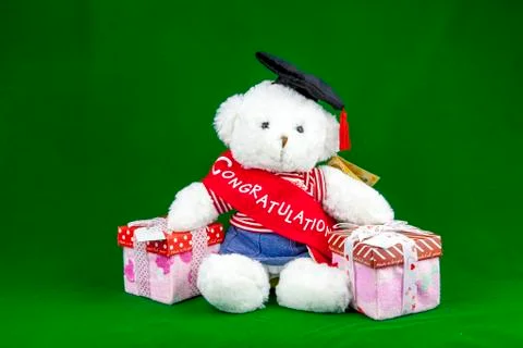 Congratulation Teddy Bear Stock Photos