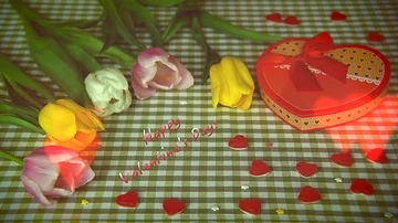 Congratulation on Valentine's Day, using colorful tulips Video stock 86127686