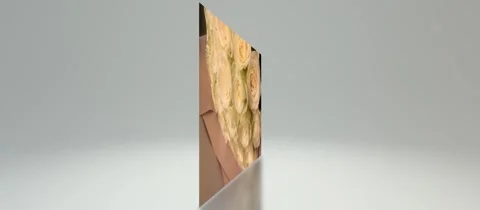 Congratulations on the holiday Stock Footage 288517992