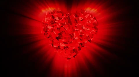 Congratulations Title and rose heart exploding, shine Stock Footage 35790639