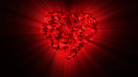 Congratulations Title and rose heart exploding Stock Footage 39681446