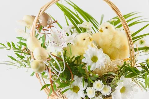 Congratulatory easter background. Easter eggs and flowers. Happy Easter. Foto stock