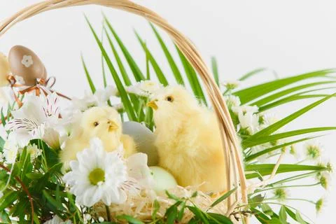 Congratulatory easter background. Easter eggs and flowers. Happy Easter. Stock Photos