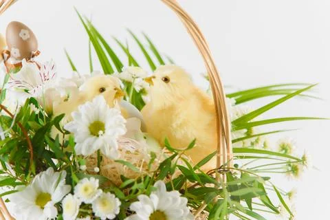 Congratulatory easter background. Easter eggs and flowers. Happy Easter. Foto stock