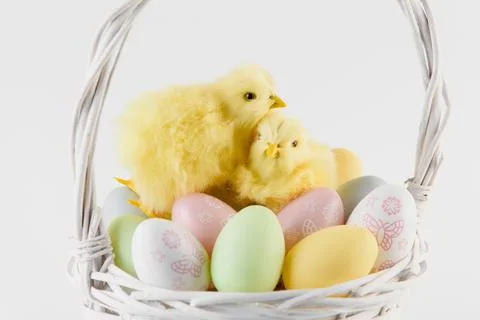 Congratulatory easter background. Easter eggs and flowers. Happy Easter. Stock Photos
