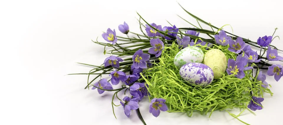 Congratulatory easter background.Eggs in the nest and spring flowers on a whi Stock Photos