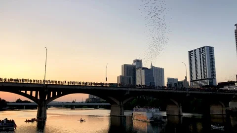 Congress Ave Bat Bridge 4K Austin, TX 库存影片 114783743