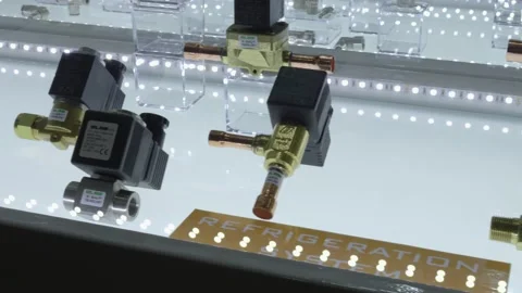 Congress exhibits Stock Footage 219948258