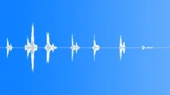 CongressSound Effect