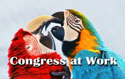 Congress at Work. Stock Photos