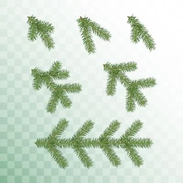 Conifer branches set. Green branches of a Christmas tree isolated on transpar Stock Illustration