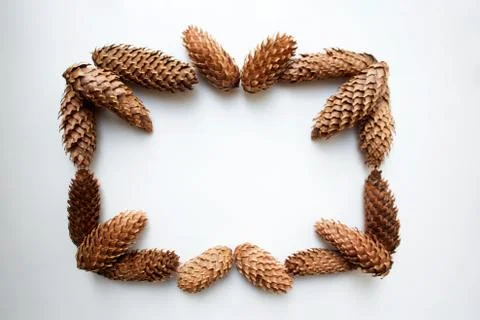Conifer cones rectangular frame composition 스톡 사진