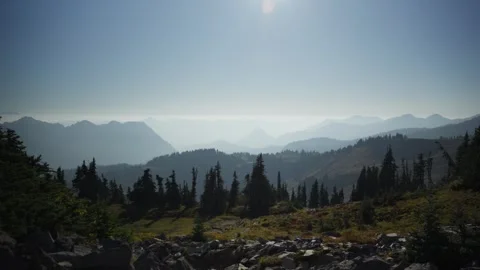 Conifer forest and mountain peaks. Stock Footage 319801554