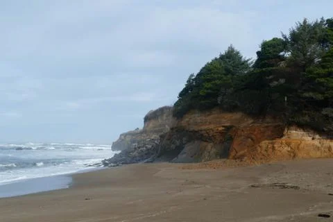 Conifer forest atop eroding headland 스톡 사진