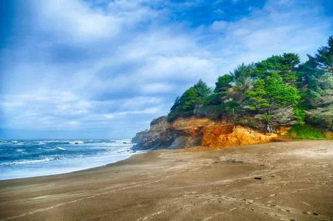 Conifer forest atop eroding headland Foto stock