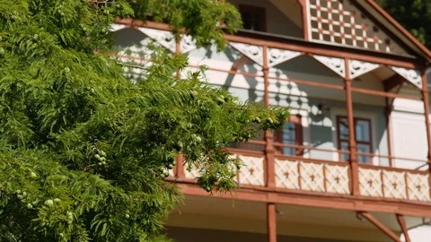 Conifer tree close up with Swiss Style villa of a spa town in the background Stock Footage 114262295