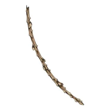 Conifer tree twig hand drawn vector illustration, pine, cypress, European Larch Illustrazione stock