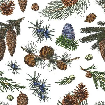 Conifer trees branches with cones collection hand drawn vector seamless pattern Illustrazione stock