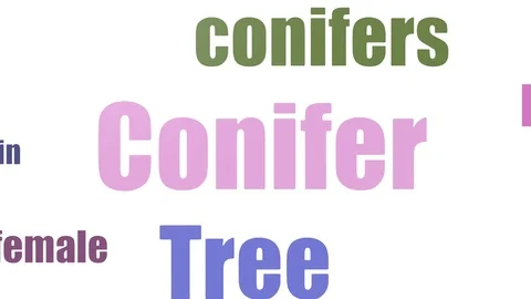 Conifer Wordcloud Animated Isolated Video stock 103098867