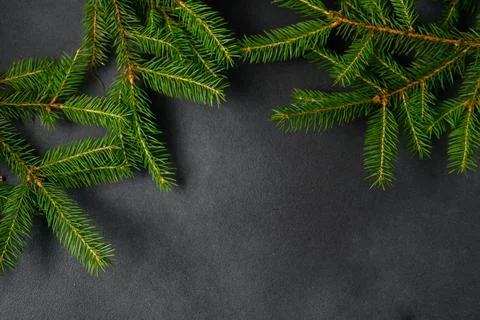 Coniferous branches on an empty table top view. Horizontal photo for advertis Stock Photos