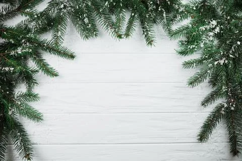 Coniferous branches with snow. High quality photo Stock Photos