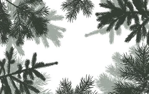Coniferous branches of trees silhouette, background. Vector illustration Stock Illustration