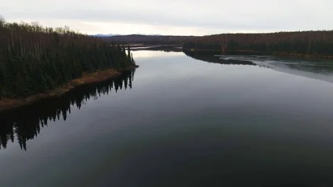 Coniferous forest along the along the river 스톡 동영상 79644957