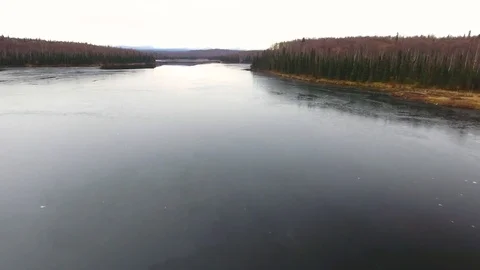 Coniferous forest along the still river during winter 스톡 동영상 79655247