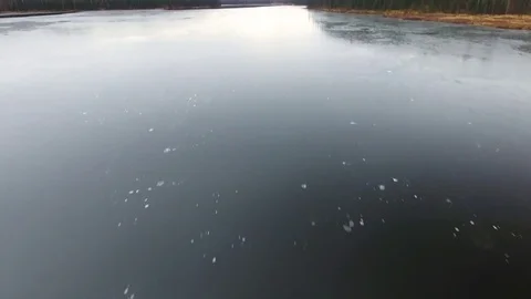 Coniferous forest along the still river during winter 스톡 동영상 79655344