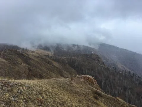 Coniferous forest and Mountain landscape. View of the mountains in the fog Stock Photos