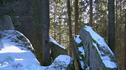 Coniferous forest and rocks in winter Stock Footage 102395051