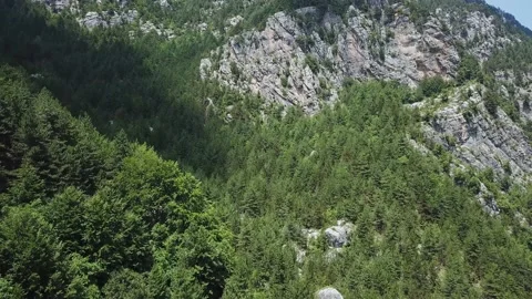 Coniferous Forest in the Background of a Rock Stock Footage 237986580