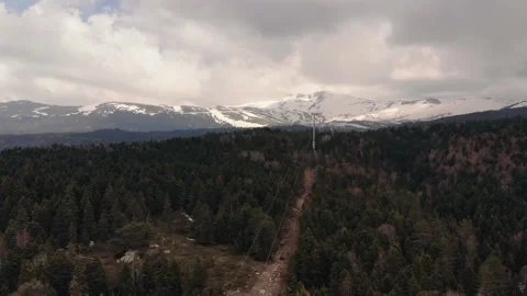 Coniferous forest in the background of snow-clad mountains. Aerial view 4K Stock Footage 133278680