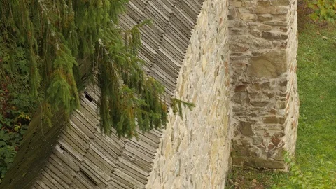 Coniferous Forest Behind Old Stony Wall Firs Pines Nearby Ancient Buildings Stock Footage 71631995