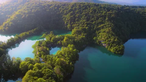 Coniferous forest with deep blue lake in mountains. Dense wood landscape in Stock Footage 252662669