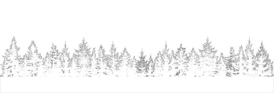 Coniferous forest of  fir trees. Vector illustration Stock Illustration
