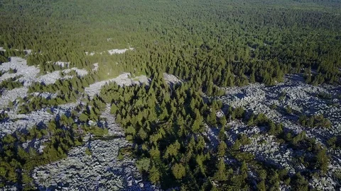 Coniferous forest growing on stony soil in the Urals Stock Footage 116391648