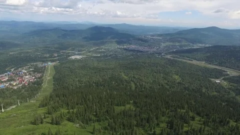 Coniferous forest from a height Vidéo 71223789