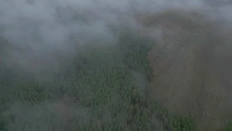 Coniferous forest on hill in overcast under clouds. Snowy mountains in the haze. Stock Footage 253772398