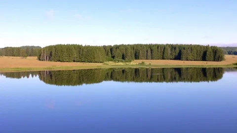 Coniferous forest is reflected on the smooth surface of the river Stock Footage 78562803