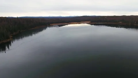 Coniferous forest surrounding the lake during winter Stock-Footage 79654914