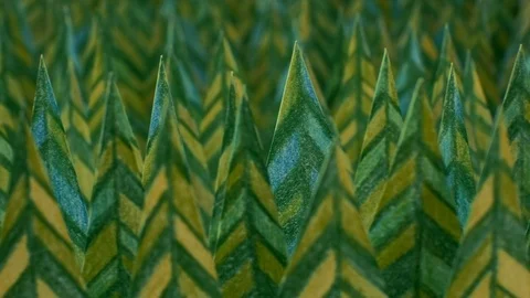 Coniferous Forest. Trees made of paper and decorated with coloured pencils. Stock Footage 93428545