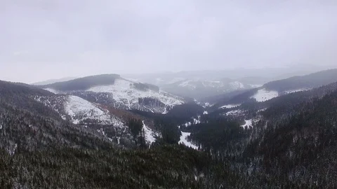 Coniferous forest in the winter mountains Stock Footage 118674441
